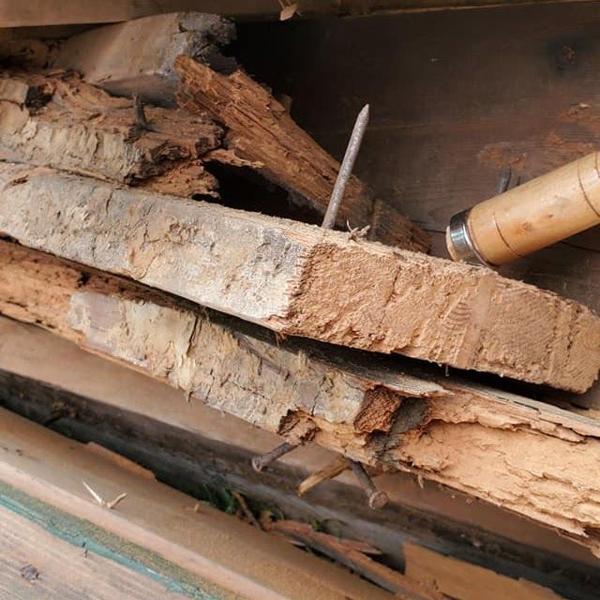 images/drywall/thumbs/06.jpg photo 64