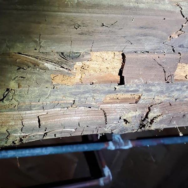 images/drywall/thumbs/06.jpg photo 68