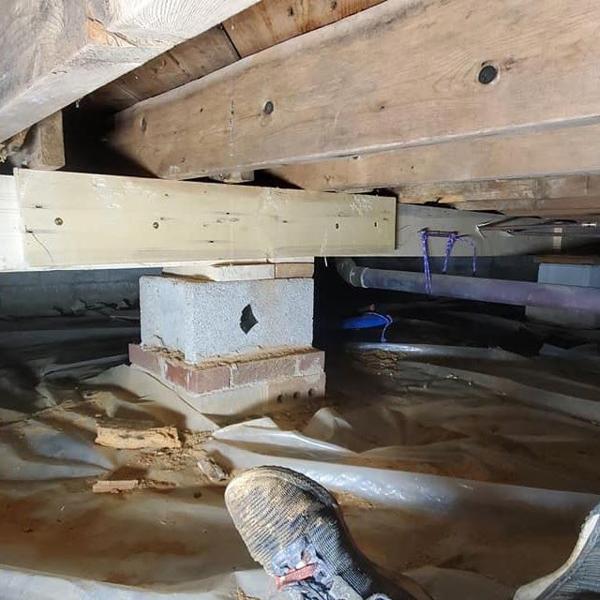 images/drywall/thumbs/06.jpg photo 69