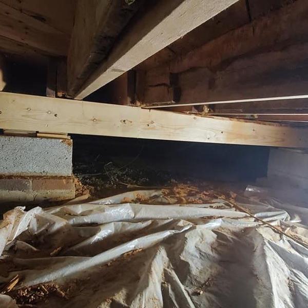 images/drywall/thumbs/06.jpg photo 71