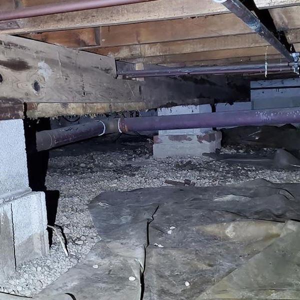 images/drywall/thumbs/06.jpg photo 73